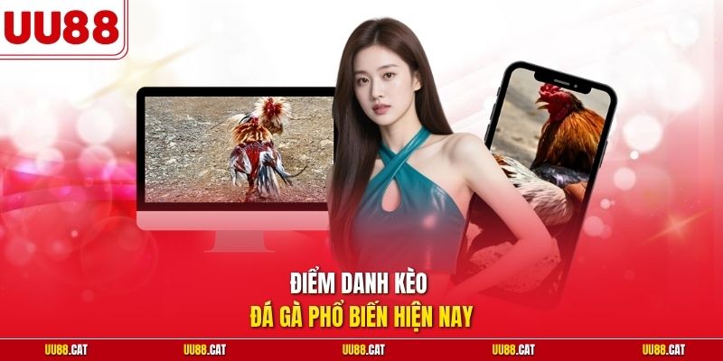Điểm danh kèo đá gà phổ biến hiện nay